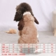 Quần áo cho chó quần áo mùa thu và mùa đông mèo Teddy chiến đấu hơn gấu chó Bomei chó nhỏ quần áo thú cưng dày ấm - Quần áo & phụ kiện thú cưng bộ quần áo cho mèo