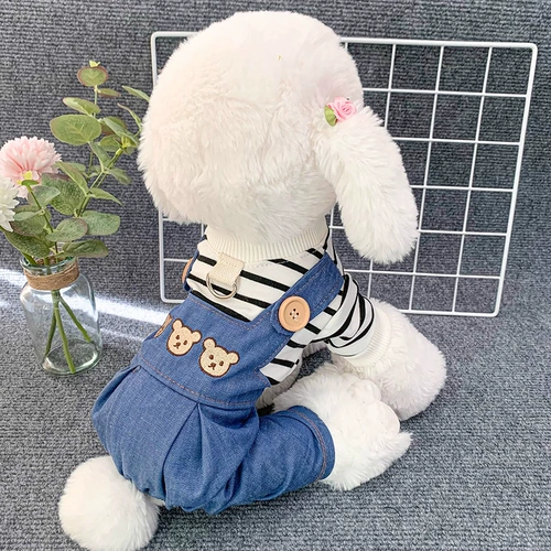 Одежда собаки может быть в ловушке.