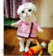 Lắc cùng kiểu Pu Tailang mèo con vui vẻ quần áo chó nhỏ quần áo chó cưng quần áo hai chân ngộ nghĩnh - Quần áo & phụ kiện thú cưng áo tết cho mèo	