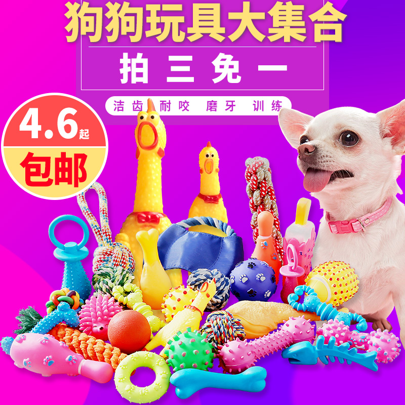 Dogs toys resistant to bite, vocal chicks puppies Teddy teddy Bears Kumamubou Beauty Pet Supplies Unsmoggy training