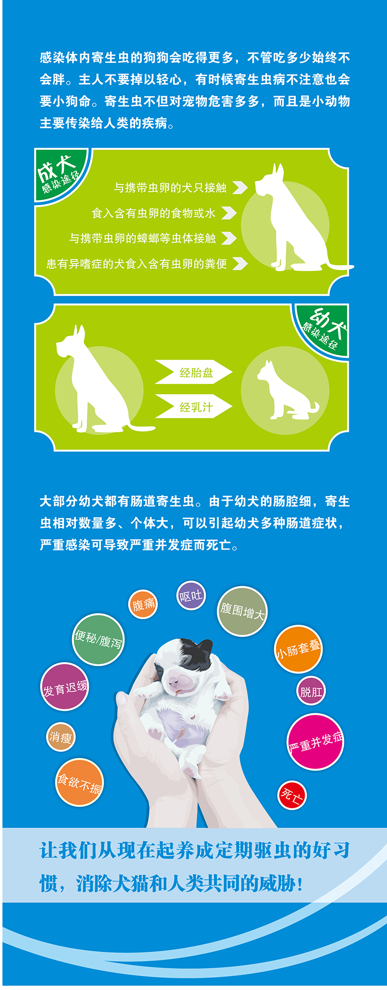 湃特安琪儿安琪儿肠虫宁狗狗体内驱虫药打虫药泰迪金毛猫咪小狗幼犬宠物药品 乐乐地带商城 湃特安琪儿安琪儿肠虫宁狗狗体内驱虫药打虫药泰迪金毛猫咪小狗幼犬宠物药品 乐乐地带商城