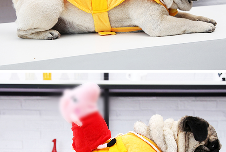Chó mặc quần áo ngộ nghĩnh Teddy chiến đấu hơn gấu lợn Peggy Peggy ăn mặc ngộ nghĩnh với cùng một đoạn quần áo thú cưng - Quần áo & phụ kiện thú cưng áo cho mèo mùa đông