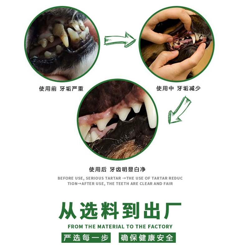 Chó răng hàm dính sạch răng xương Teddy Lông vàng Labrador vừa chó lớn nhai thú cưng - Đồ ăn vặt cho chó thức ăn cho thú cưng