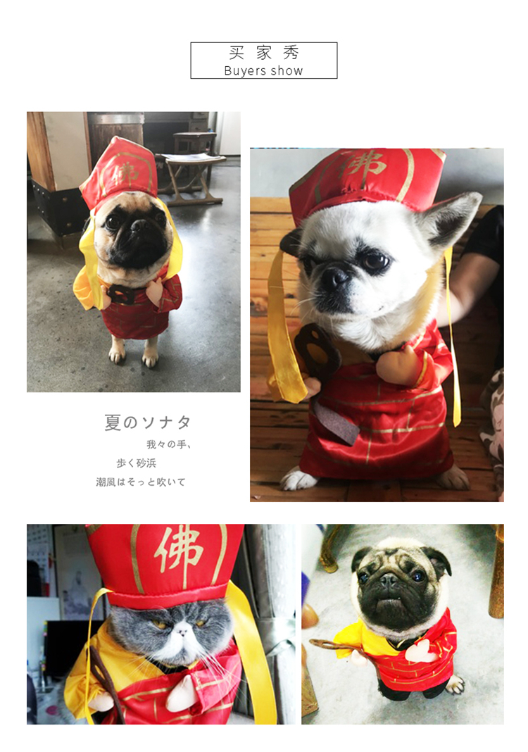 Quần áo chó, trang phục ngộ nghĩnh, mũ chiến đấu, rung, và cùng một đoạn, Teddy Tang, hài hước, quần áo thú cưng - Quần áo & phụ kiện thú cưng mua áo cho chó