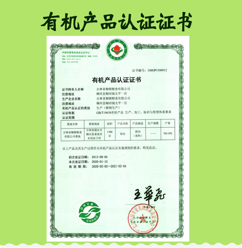 Selenium Germ Rice Noodles_13.jpg