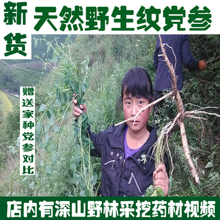 Wild mountain mining new goods pure natural wild ginseng 500 grams of special grade sulfur-free soil pattern party Lu party to participate in the party
