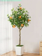 High-End Artificial Green Plant Floor-Standing Orange Tree Bonsai for Guesthouses, Hotels, Shop Windows, Home Floor-Standing Potted Plant Decorations
