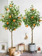 High-End Artificial Green Plant Floor-Standing Orange Tree Bonsai for Guesthouses, Hotels, Shop Windows, Home Floor-Standing Potted Plant Decorations