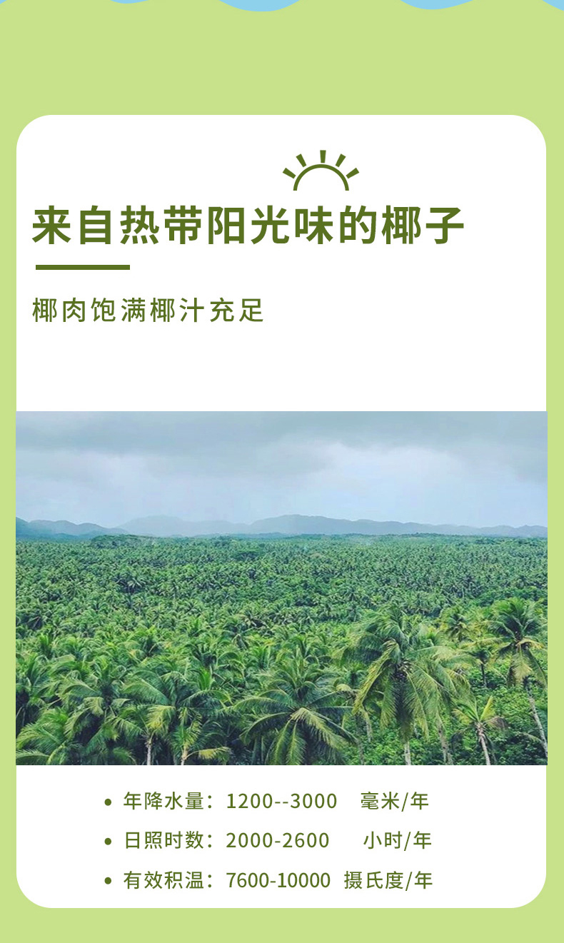 椰谷 2小时鲜榨 正宗椰子果肉饮料 450ml*15瓶 图4