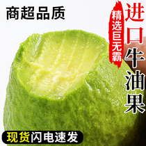 Imported avocados 12 fresh fruits in season whole box Peruvian avocado large fruit official non-Has ready to eat