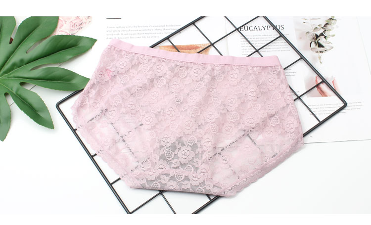 Hoa mới đồ lót cổ tích nữ graphene đối tác giữa eo ren jacquard đầy đủ quan điểm đồ lót gợi cảm quần lót su