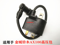 Applicable Motorcycle Accessories Two-stroke Golden City Bell Wood Changchun AX100 High Pressure Bag Ignitor High Pressure Bag