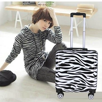 Каштановая зебра, зеркальный эффект