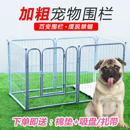 Ограждение, уличный кролик, домашний питомец