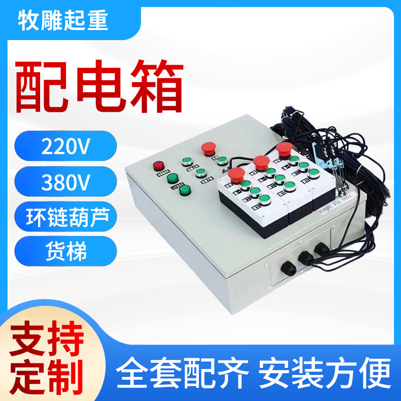 Chain Electric Hoist Hoist Lifting Platform Vegetable Transfer Machine Freight Elevator Intelligent Electric Control Box Distribution Box