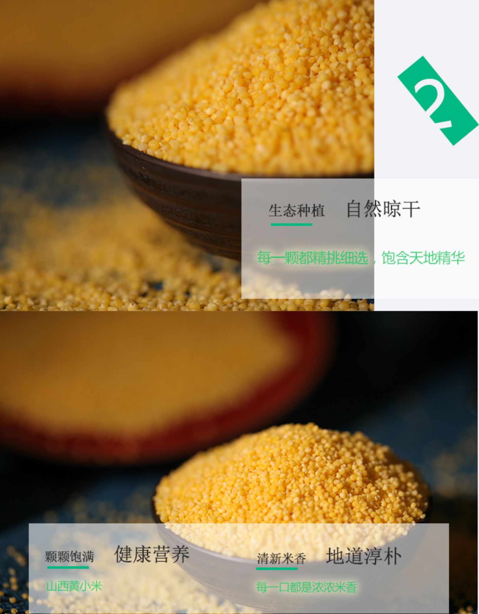 禾远 山西沁州一级黄小米 5斤 图4