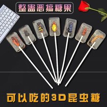 Cockroach lollipop bug insect lollipop amber sugar net brown sugar tremble with tricky spoof candy gift