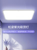 Panasonic Songzi Purple Light Ceiling Lamp Living Room Main Light Full Spectrum Eye Protection Bedroom Light Smart Lighting New Model