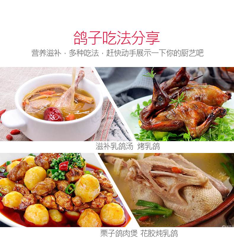 乡缘时空 农家散养乳鸽 350g*3只 生鲜现杀 图8