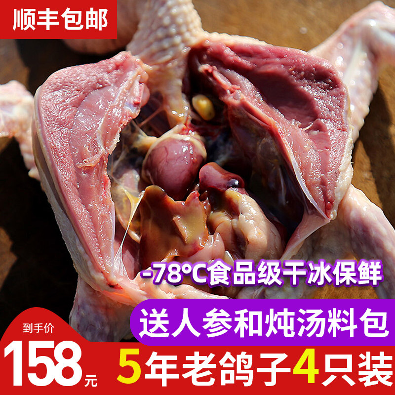 4 only loaded with old pigeon meat freshly killed earth pigeons are being prosected for 5 years old pigeons frozen fresh and fresh