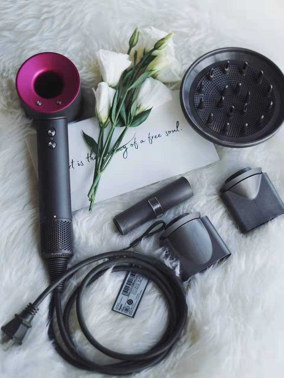 �ܹ����������ɭ���������ʿ����� ͼ2