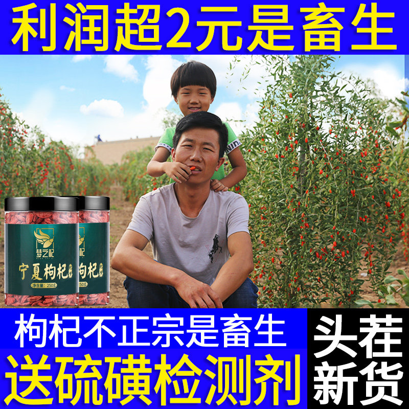 Goji Berry Ningxia Special Grade 500g Authentic No-Wash Zhongning Red Structure Ji Gou Dried Water Male Kidney Tea Official Flagship Store