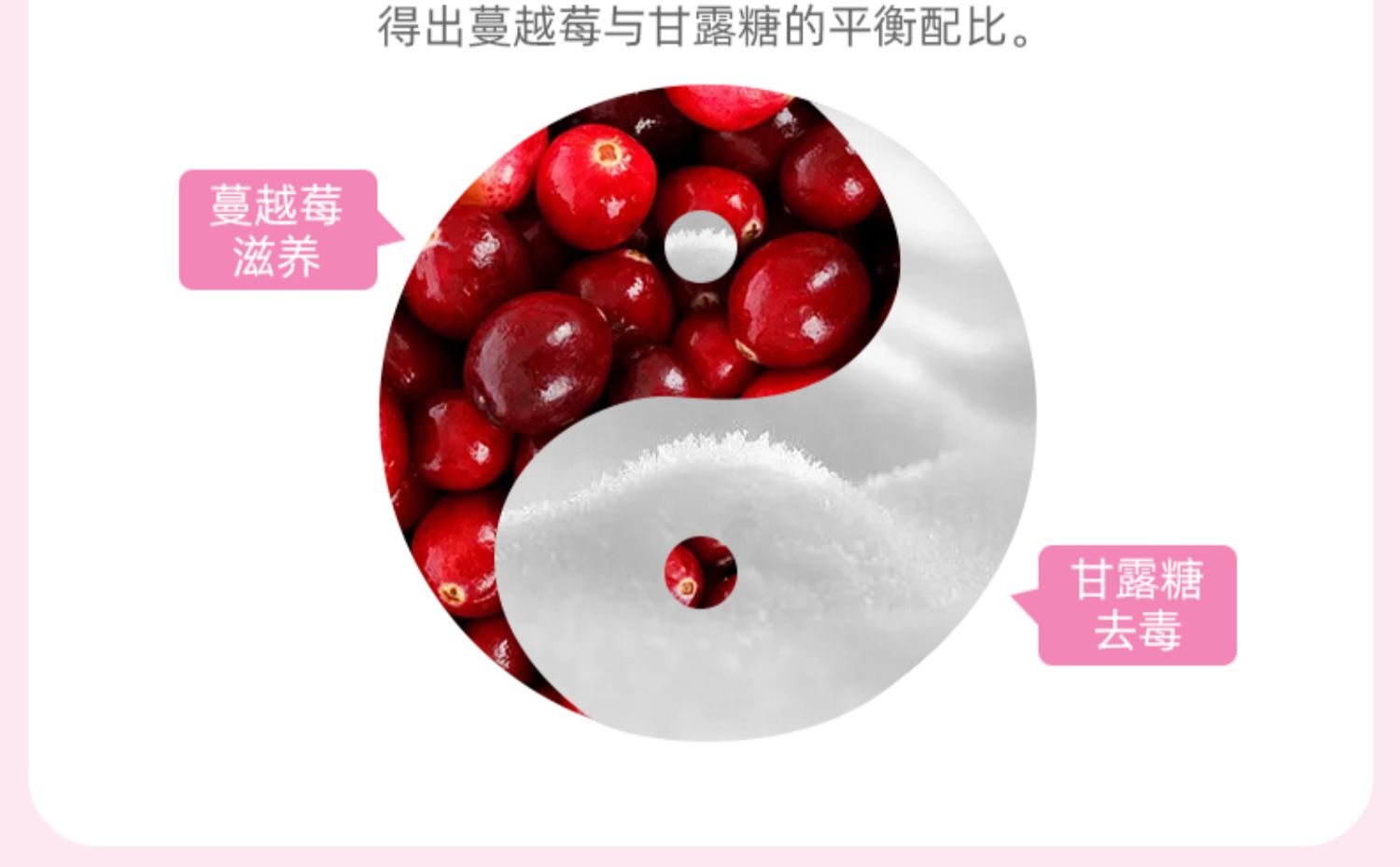 【科立纯】蔓越莓益生菌维生素C甘露糖茶