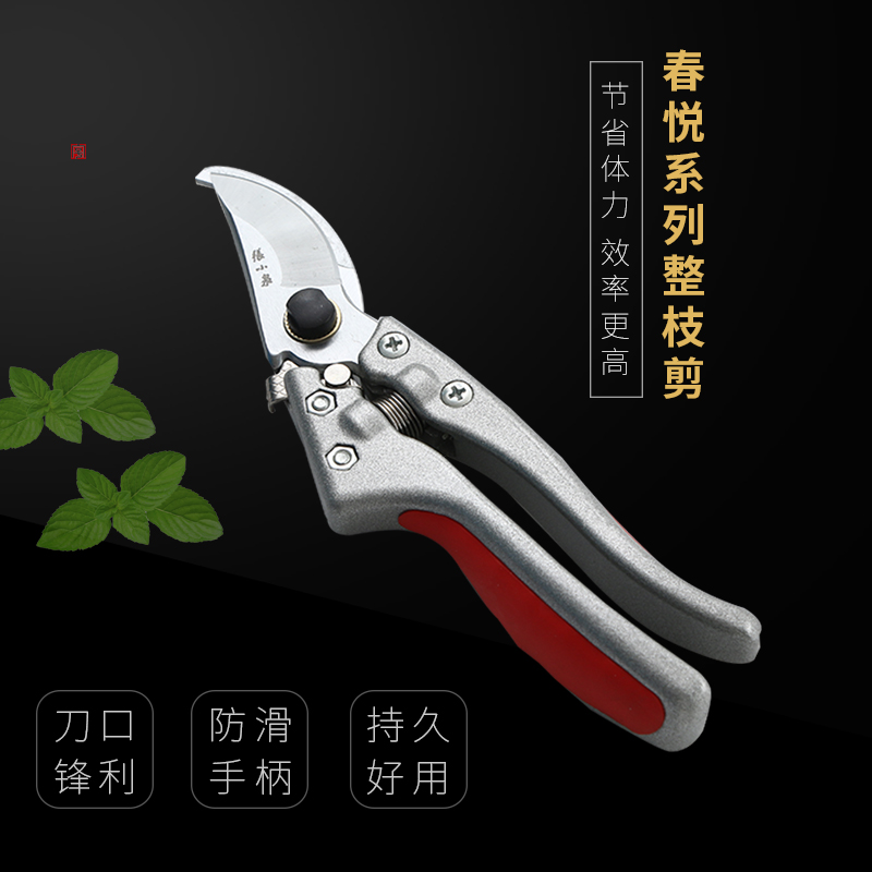 Zhang Koizumi Shuzhi Branch Scissors Gardening Scissors Branch Scissors Flowers Cut Fruit Tree Cut Powerful Cut Garden Sheared Scissors Home