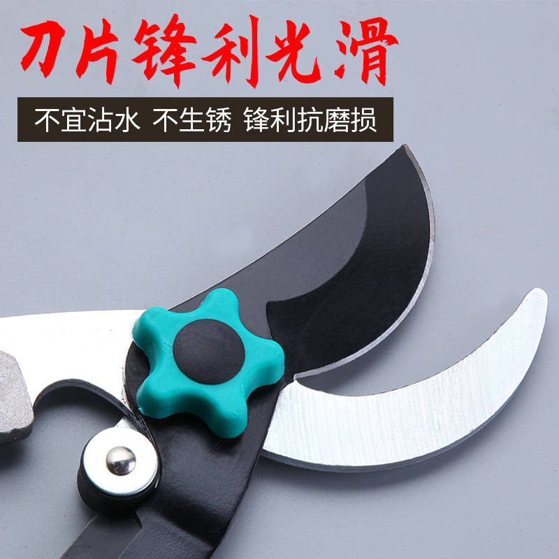 Zhang Koizumi Great Scissors Repair Branch Cut Labor-saving Powerful Coarse Branch Cut Garden High Branch Cut Flex Branch Scissors Fruit Tree Cut