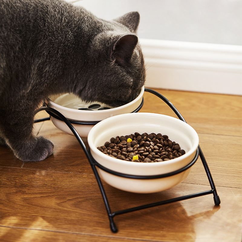 Cat Dog Day Supplies Pet Dog Bowls Cat Bowls Cat Basin Young Cat Cul young ceramic bowls Double bowls Kitty Water Bowl-Taobao