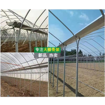Greenhouse steel frame skeleton full steel pipe greenhouse agricultural vegetable planting flower fruit tree breeding conjoined steel frame