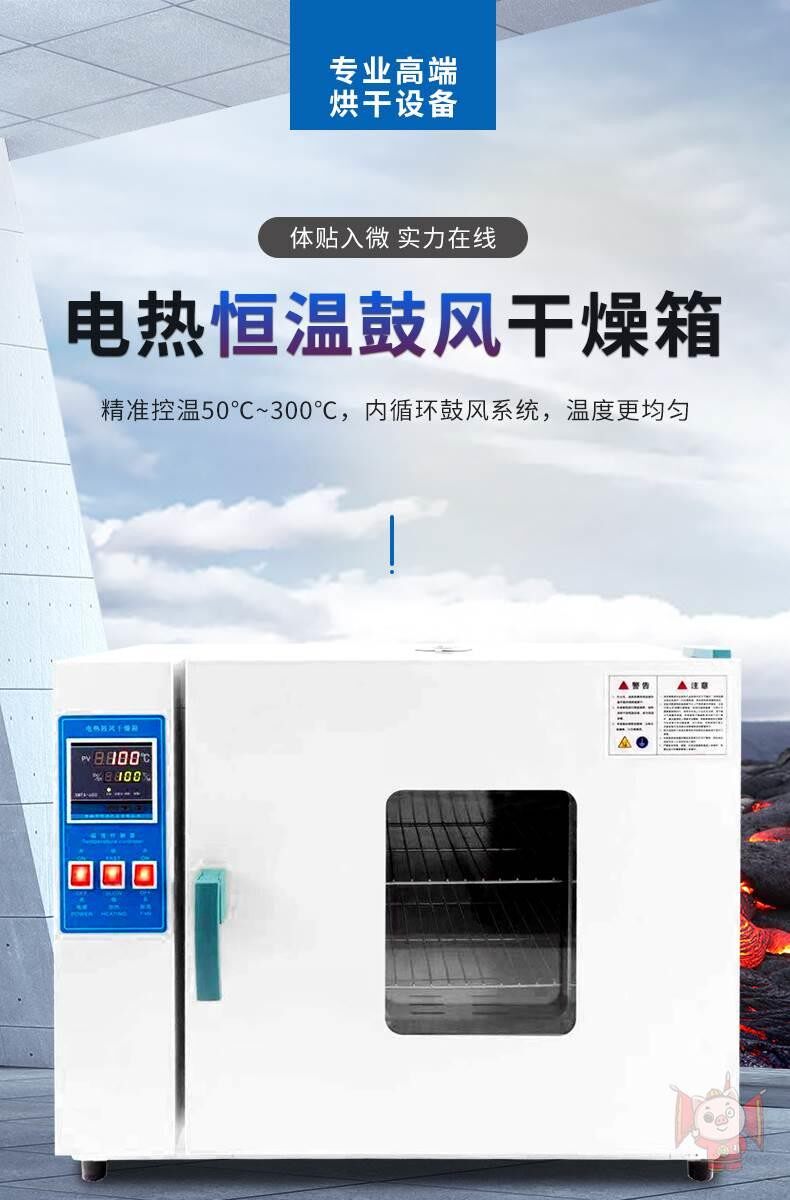 Electric Hot Blast Drying Cabinet Thermostatic Laboratory High Temperature Test Drying Box Industrial Dryer Food Baking Box