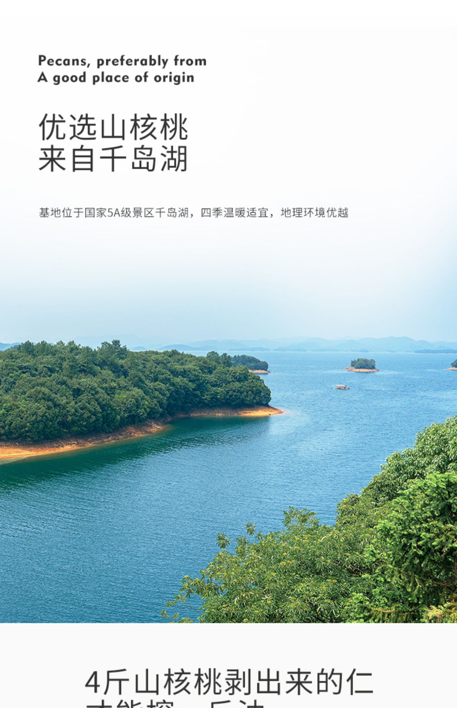 婴幼儿辅食专用无添加核桃油