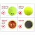 Rebound tennis cho người mới bắt đầu tập tennis đơn với dây tennis có dây, đàn hồi cao, một người - Quần vợt