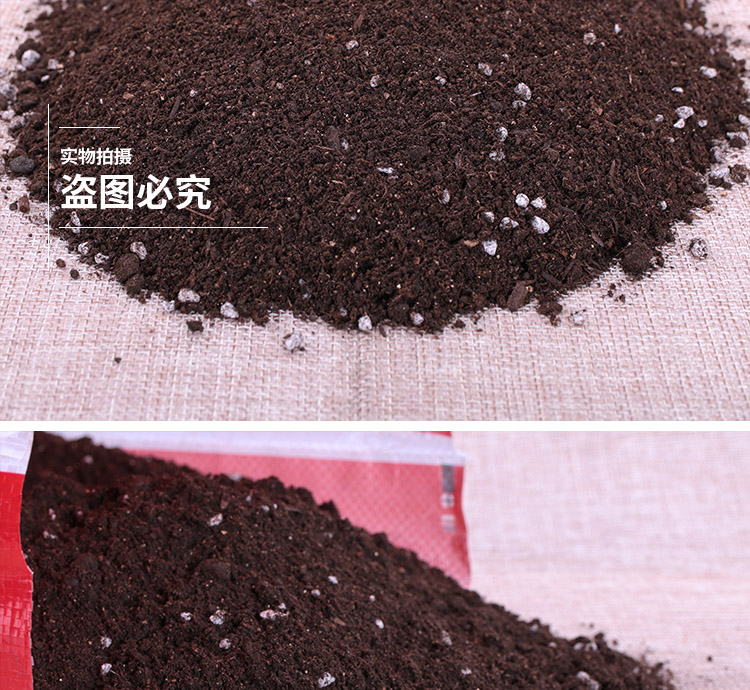 Jasmine gardenia cuckoo blueberry camellia michelia XiXing plant universal nutritional soil acid soil