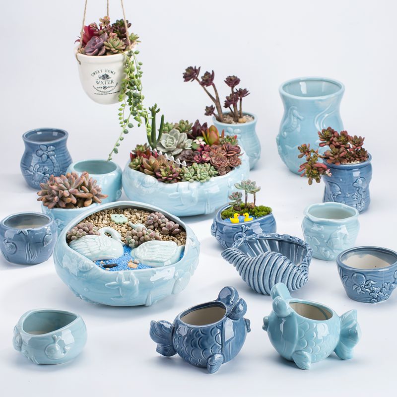 Fleshy flower POTS in the ceramics of the large diameter special offer a clearance creative platter Fleshy the plants flower pot
