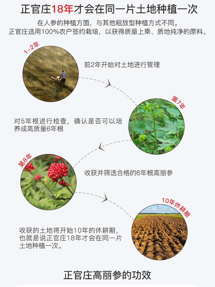 【试用装10包】正官庄高丽参水蜜桃浓缩液