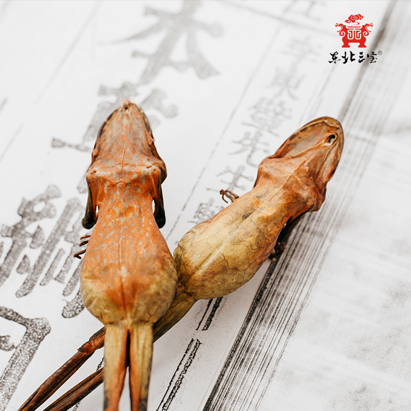 (Large Forest Frog Dry) Northeastern Sanbao Changbai Mountain Snow Clam Whole only 13 gr x10 Forest Frog Dry Snow Clam