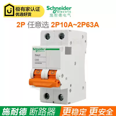 Schneider Air Switch Circuit Breaker 2P16A20A25A40A ~ 63A Bipolar Dual Inlet and Double Out Master Switch