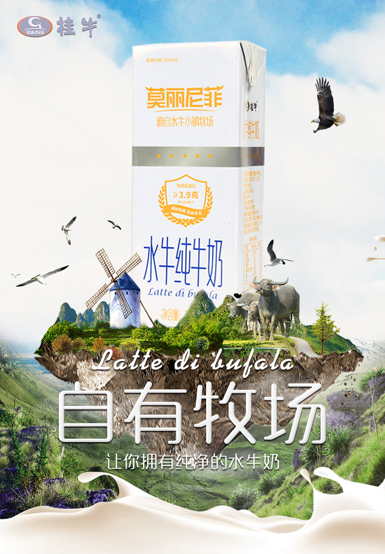 桂牛 莫丽尼菲 会结皮的水牛纯奶200ml*10盒 图1