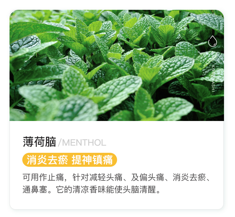 日本进口 小林制药 安美露止痛涂抹液 80ml 图7