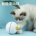 Mèo đồ chơi bóng tự giúp câu đố trêu chọc mèo bóng tự động lái điều khiển từ xa mèo đồ chơi bóng vật nuôi mèo cung cấp - Mèo / Chó Đồ chơi