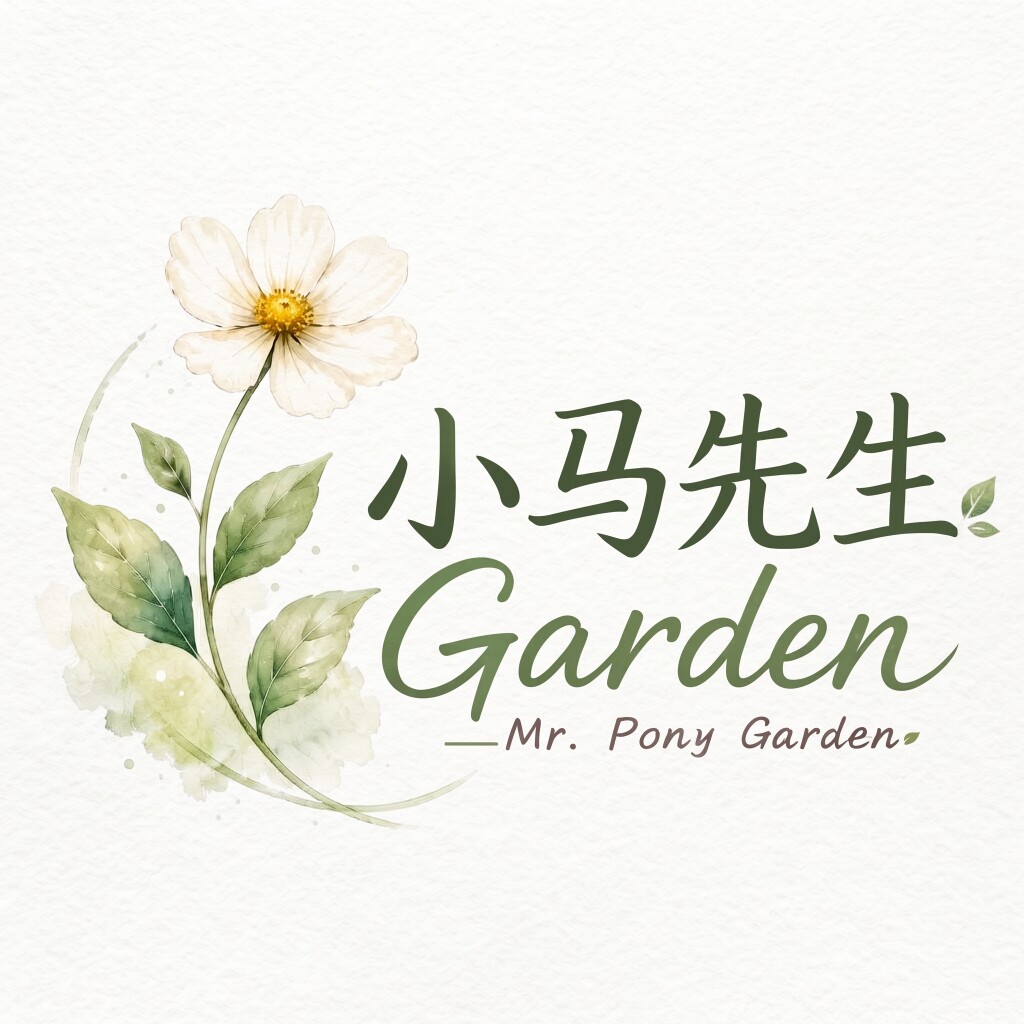 小马先生的LOGO