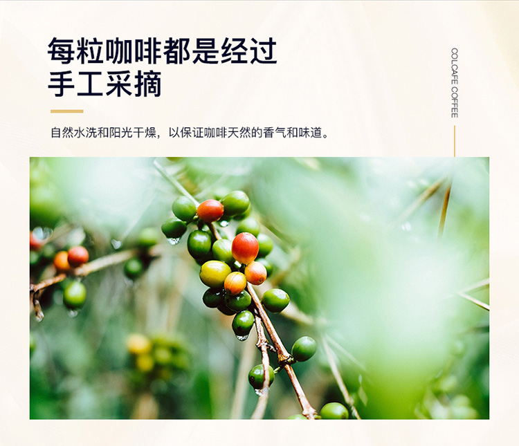 哥伦比亚进口 Colcafe 冻干黑咖啡 100g 图5