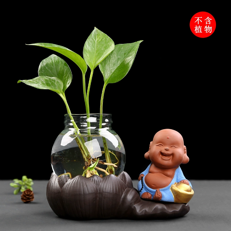 Củ cải xanh sáng tạo thủy canh nhà máy thủy tinh trong suốt bình nhỏ nhà trang trí phòng khách nước trồng cây cắm hoa đồ trang trí - Vase / Bồn hoa & Kệ