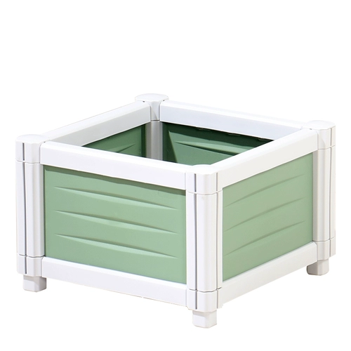 洁维诺 39 Зеленый семейный растение растения контейнер компонент растения растения посадка Посадка Позднее полотенце порошок для порошка