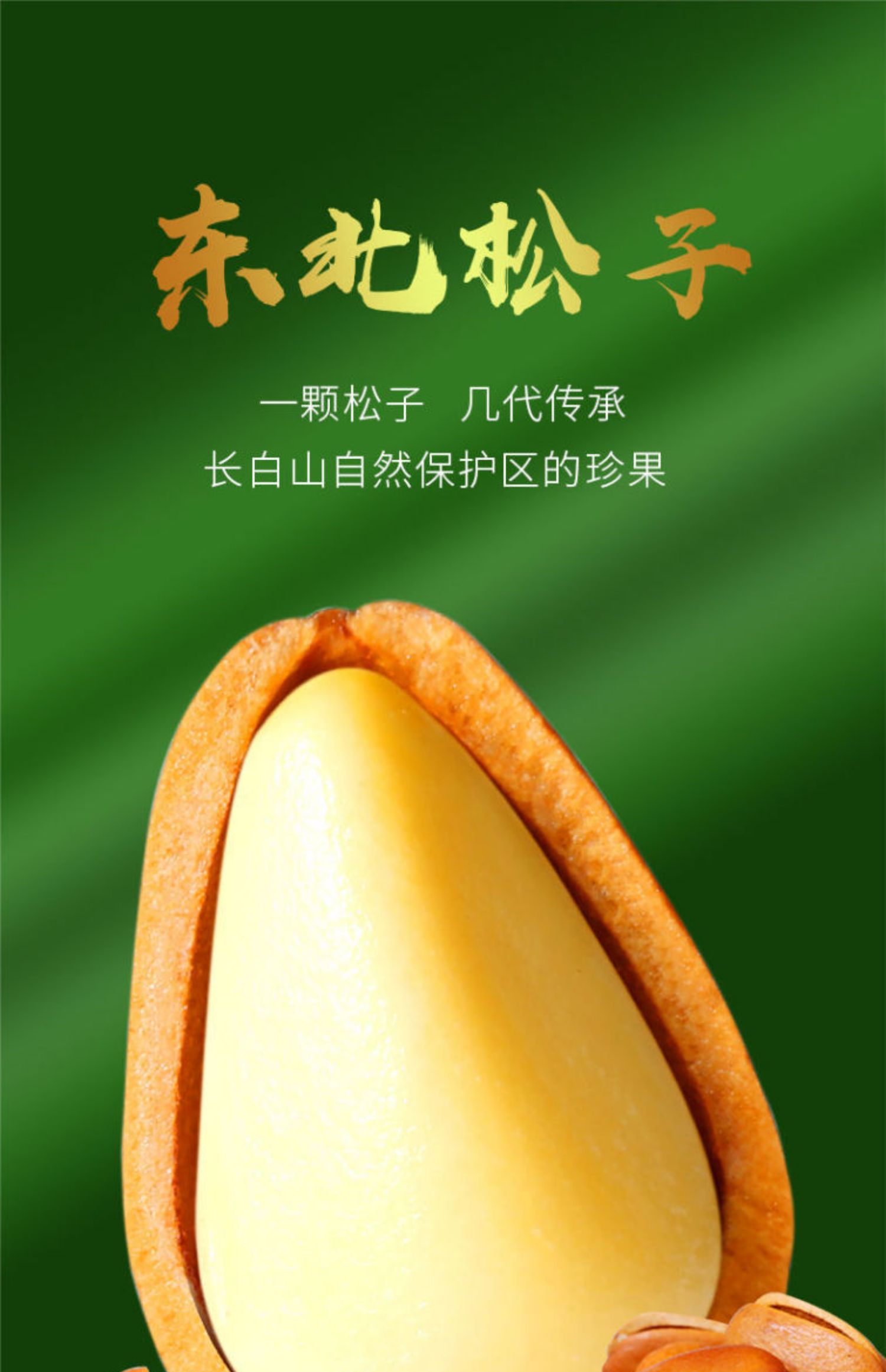 松茸北海道産