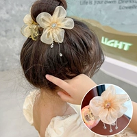 55#Champagne Color Su Su