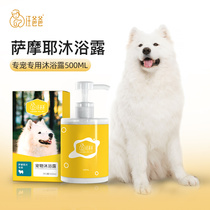 Wang Dad Samoye Dog body bath lotion Persistent fragrant pet special shampoo bath lotion bathing supplies 500ml