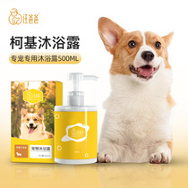 Wang Dad Kirky Dog Body Wash with Persistent Incense Pet Dogs Exclusive Shampoo bath Bath Lotion 500ml
